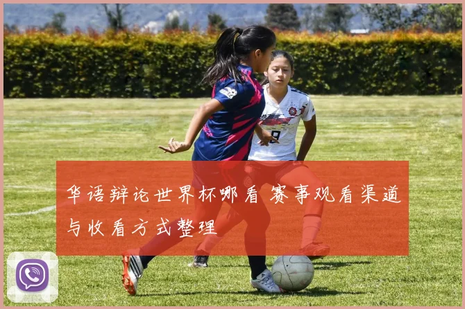 华语辩论世界杯哪看 赛事观看渠道与收看方式整理